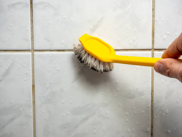 Best Residential Mold Removal  in Fletcher, NC