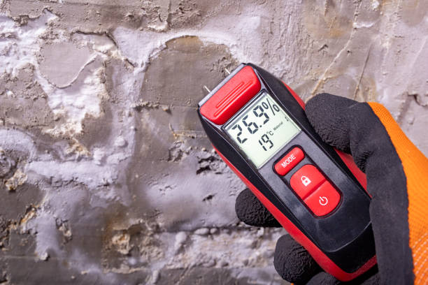 Professional Mold Removal in Fletcher, NC