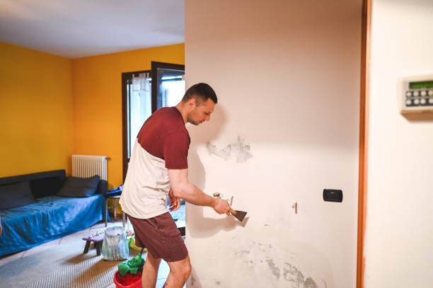 Mold Removal and Inspection in Fletcher, NC